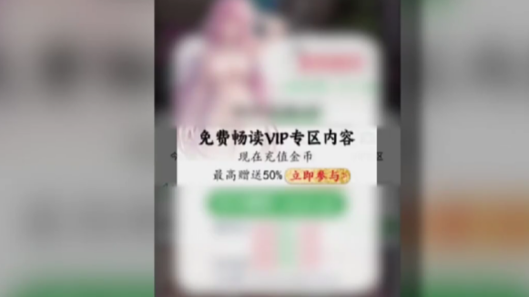 跨境涉黃網站犯罪產業鏈被搗破-資金流水逾1200萬-5成員獲刑