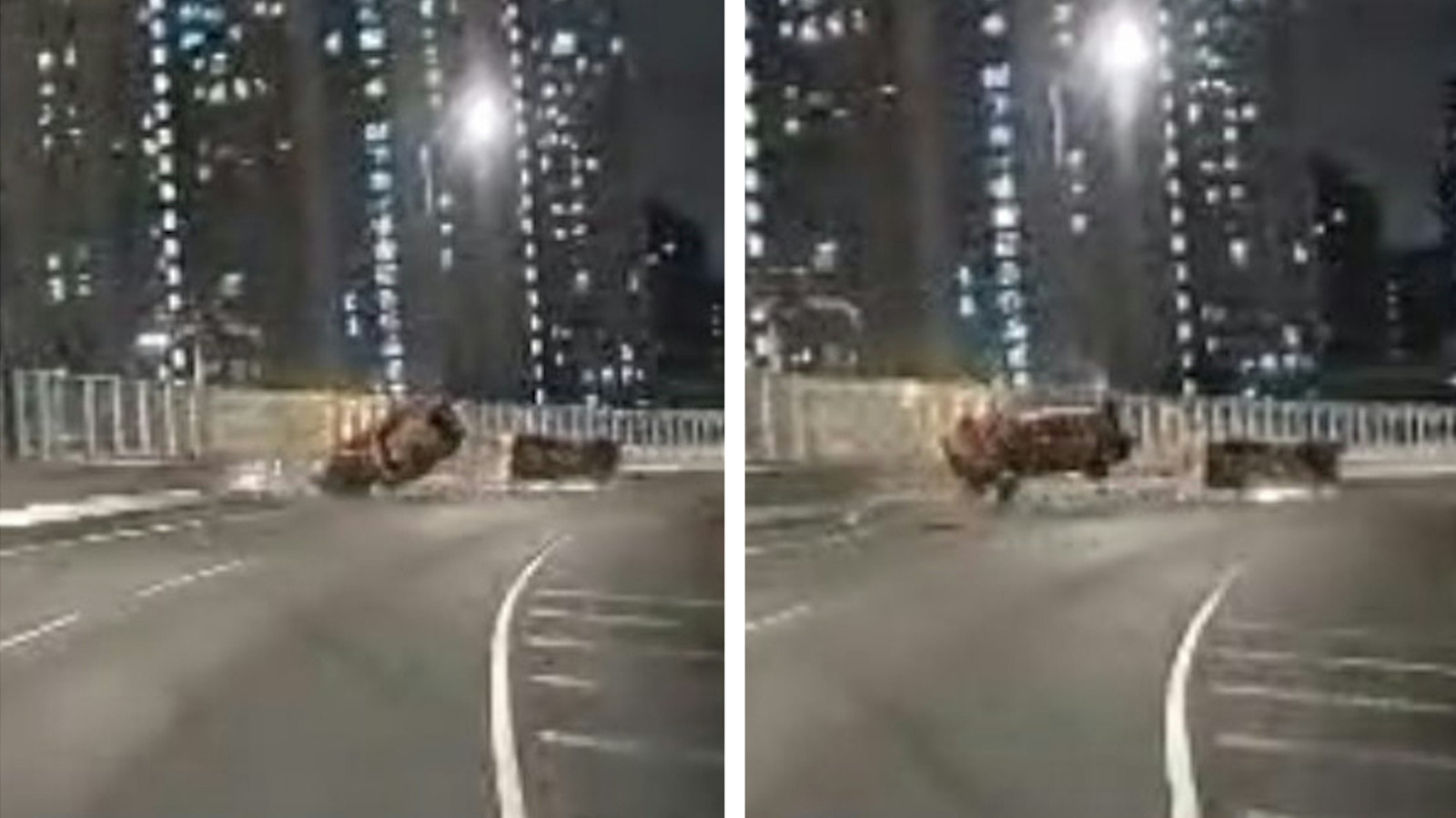 車cam直擊-青沙公路的士被撞飛夫婦抛出車慘死-客貨車司機涉危駕被捕