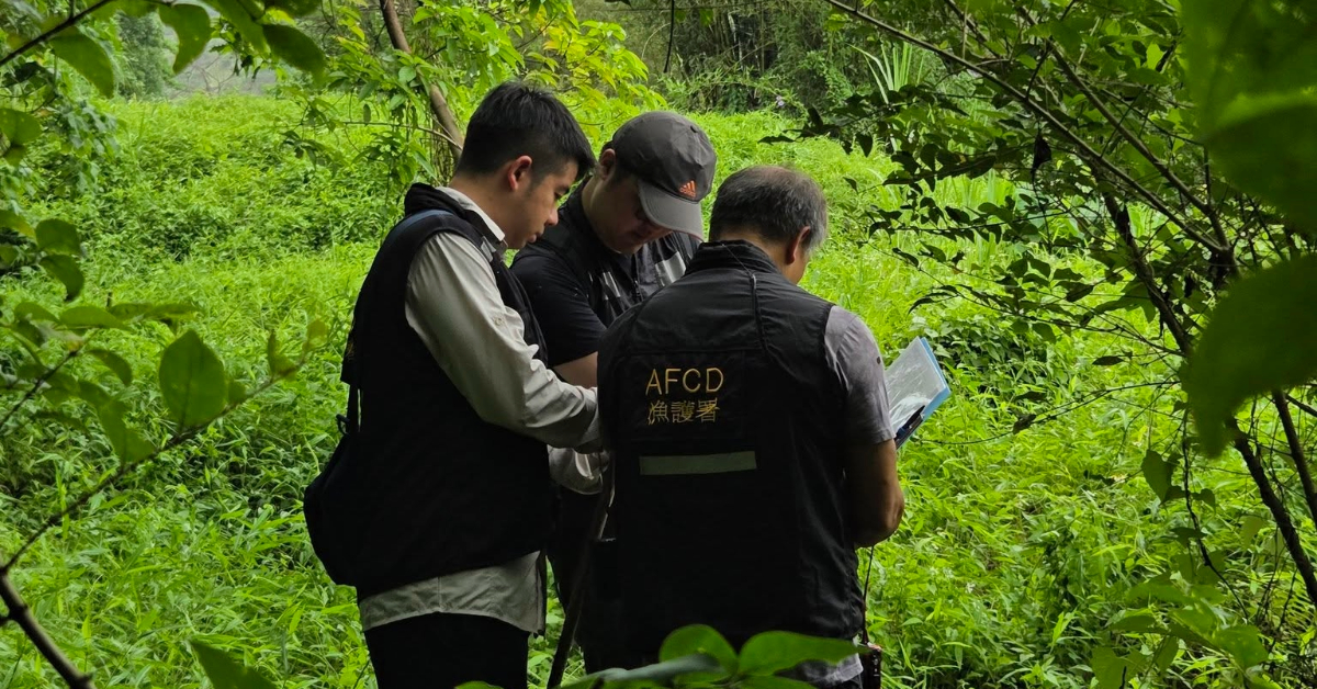 全港郊野公園僅157人巡邏執法-當局探索無人機及機械外骨骼協助管理