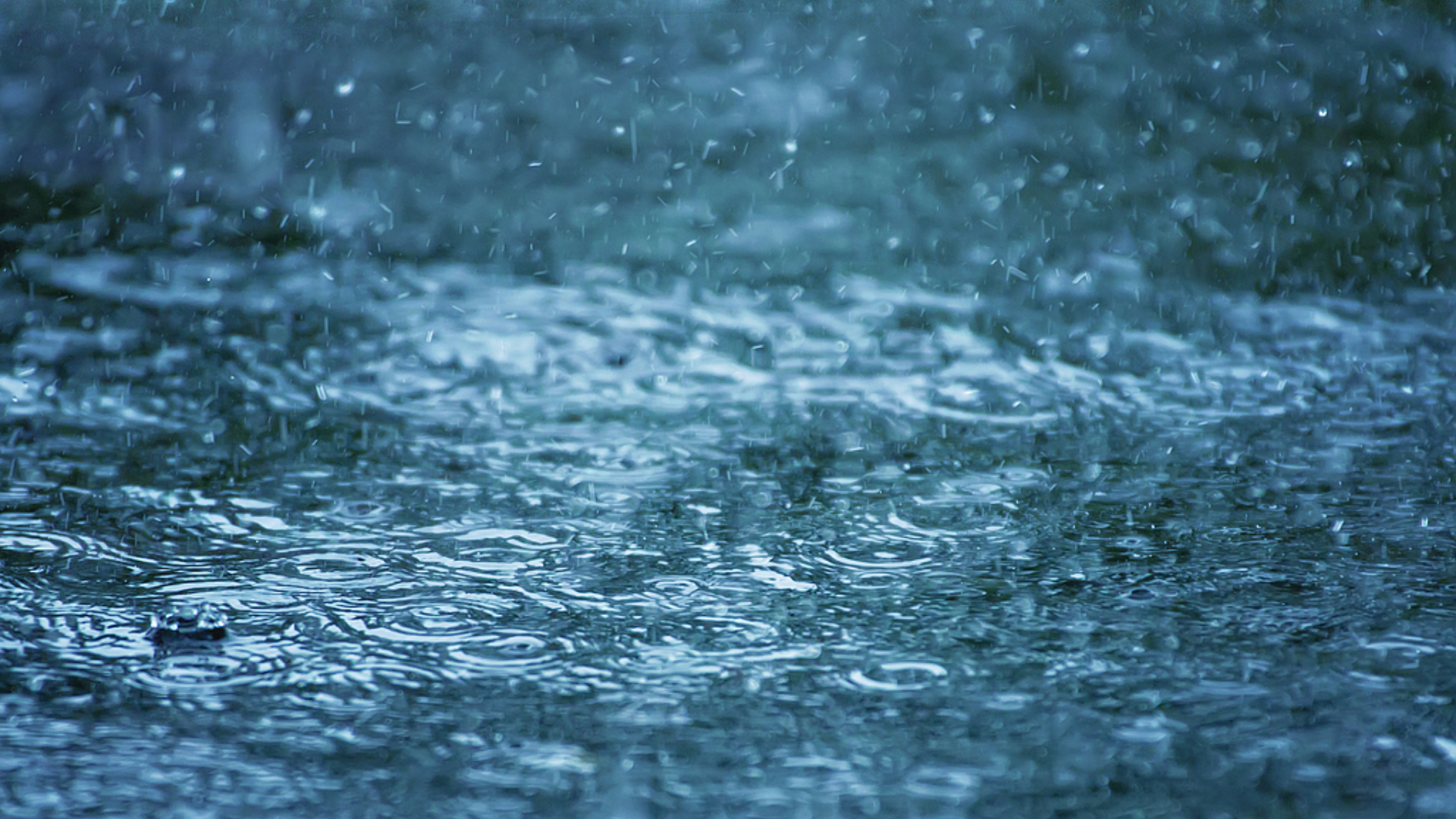 天文台改發紅色暴雨警告信號-教育局指下午校學生無需上課