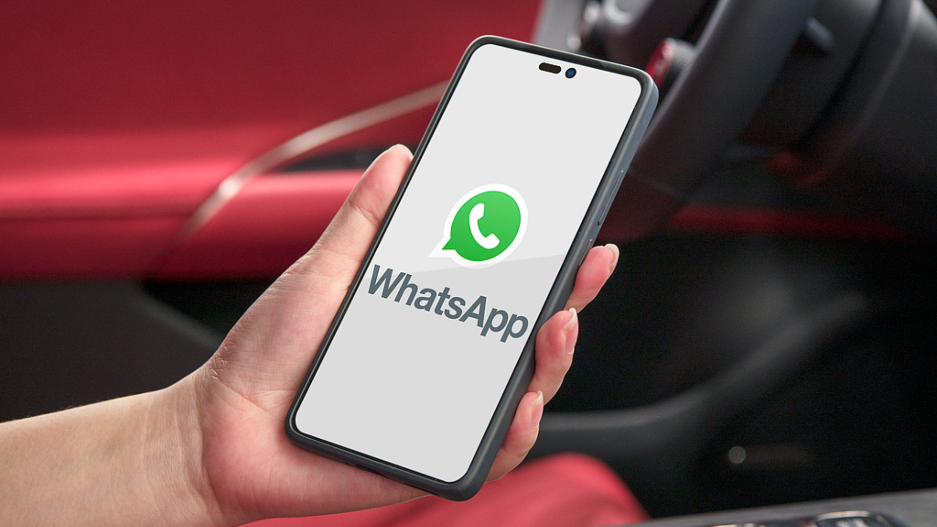 WhatsApp推出用戶名功能-毋須再公開電話號碼