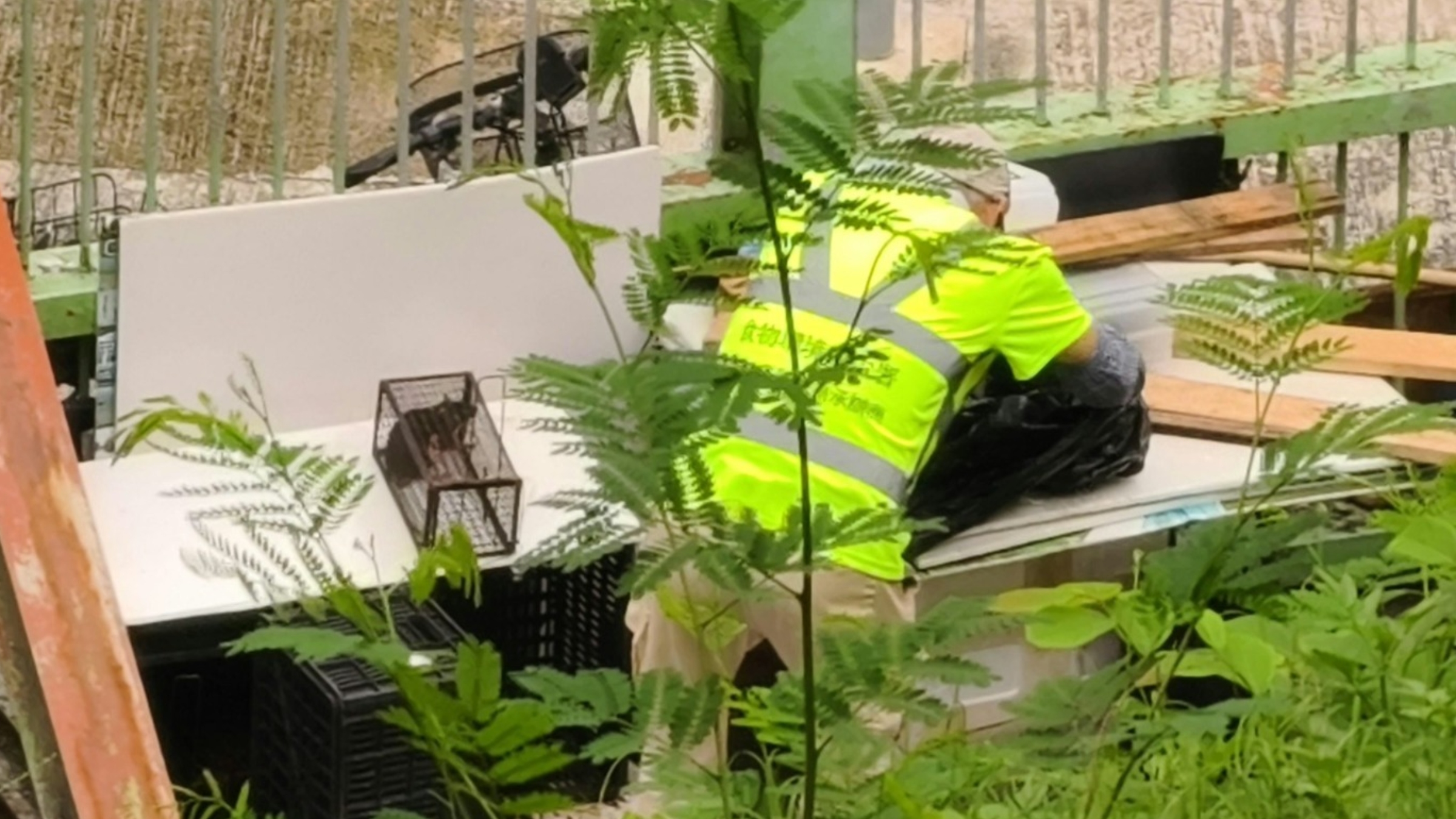 葵青防治蟲鼠服務承辦商疑-養老鼠-交數-食環署-已發出嚴重失責通知書