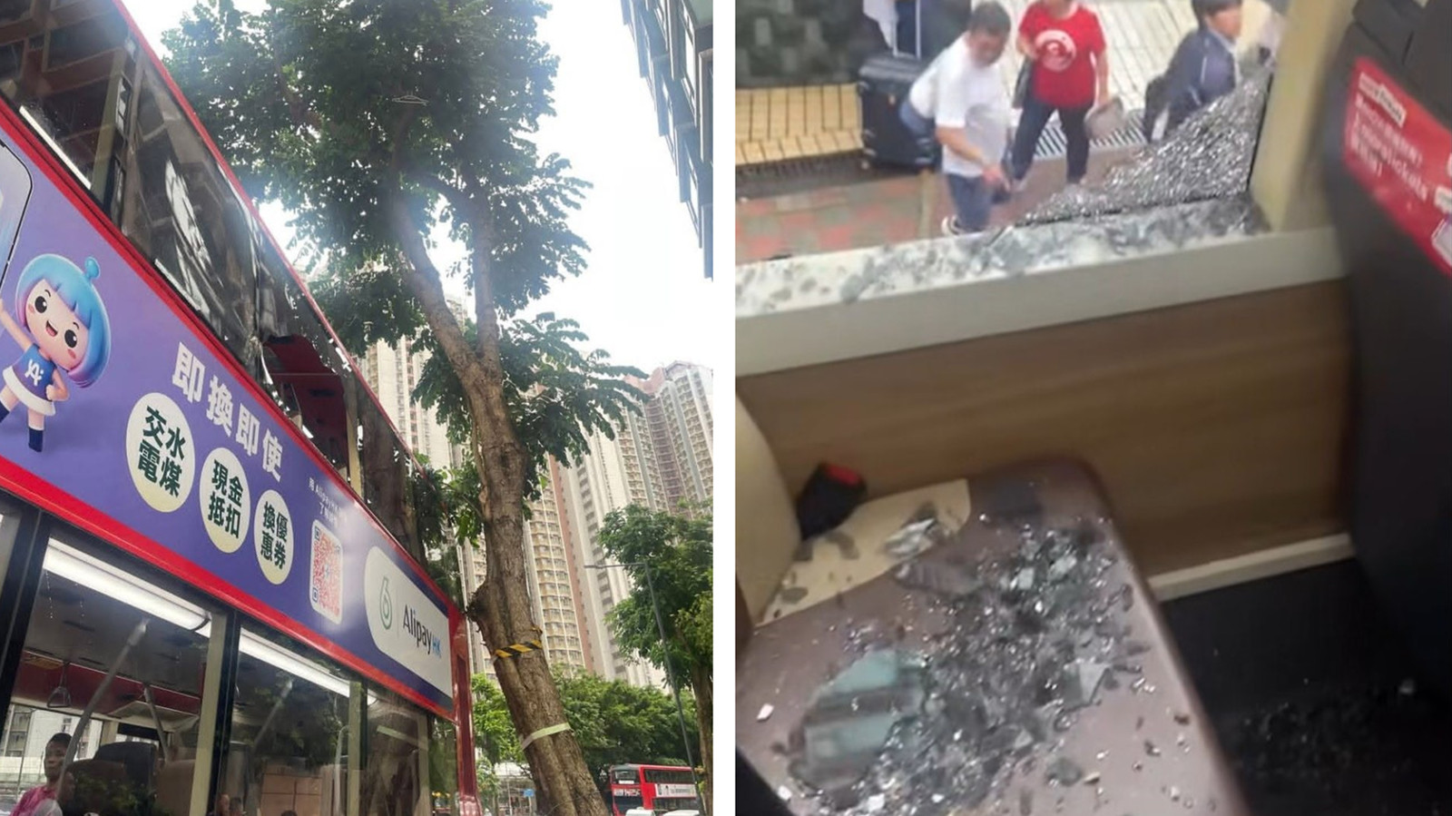 有片-上水九巴撞樹車窗粉碎-乘客瞓覺嚇醒全身玻璃碎