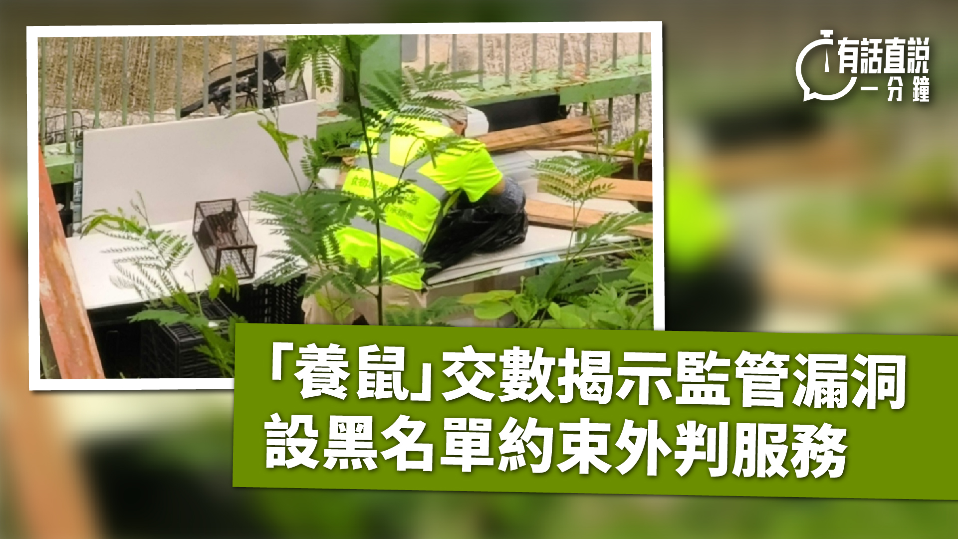 有話直說--養鼠-交數揭示監管漏洞-設黑名單約束外判服務