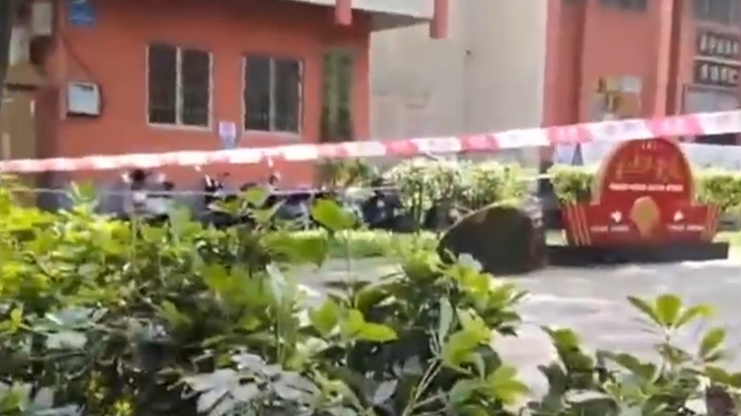 廣西博白一公園大樹倒塌砸死3人-另有4人受傷