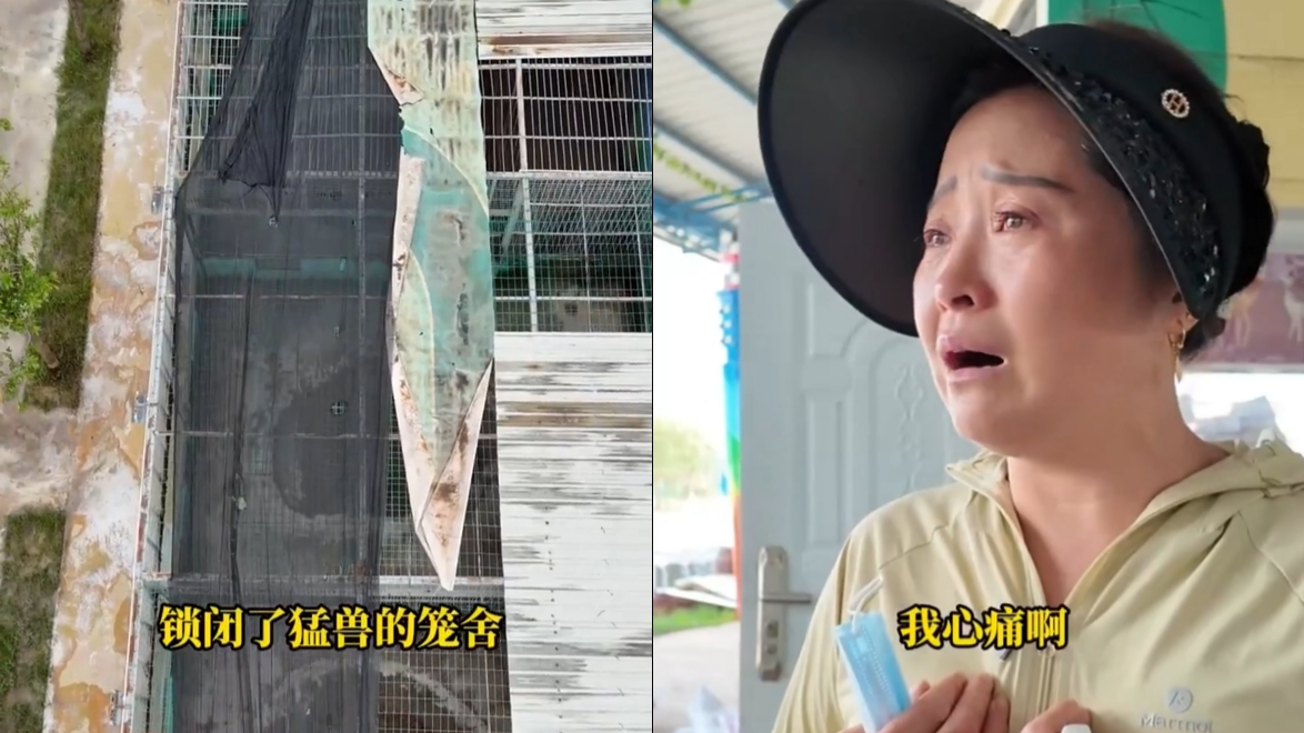 洪水來襲貴港動物園鎖獅籠防逃逸-因3獅溺亡遭網暴