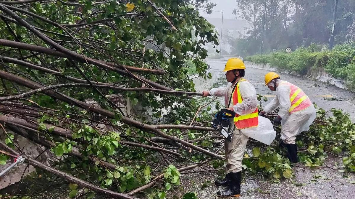 颱風紅霞-風暴期間共21人受傷-當局接243宗塌樹報告