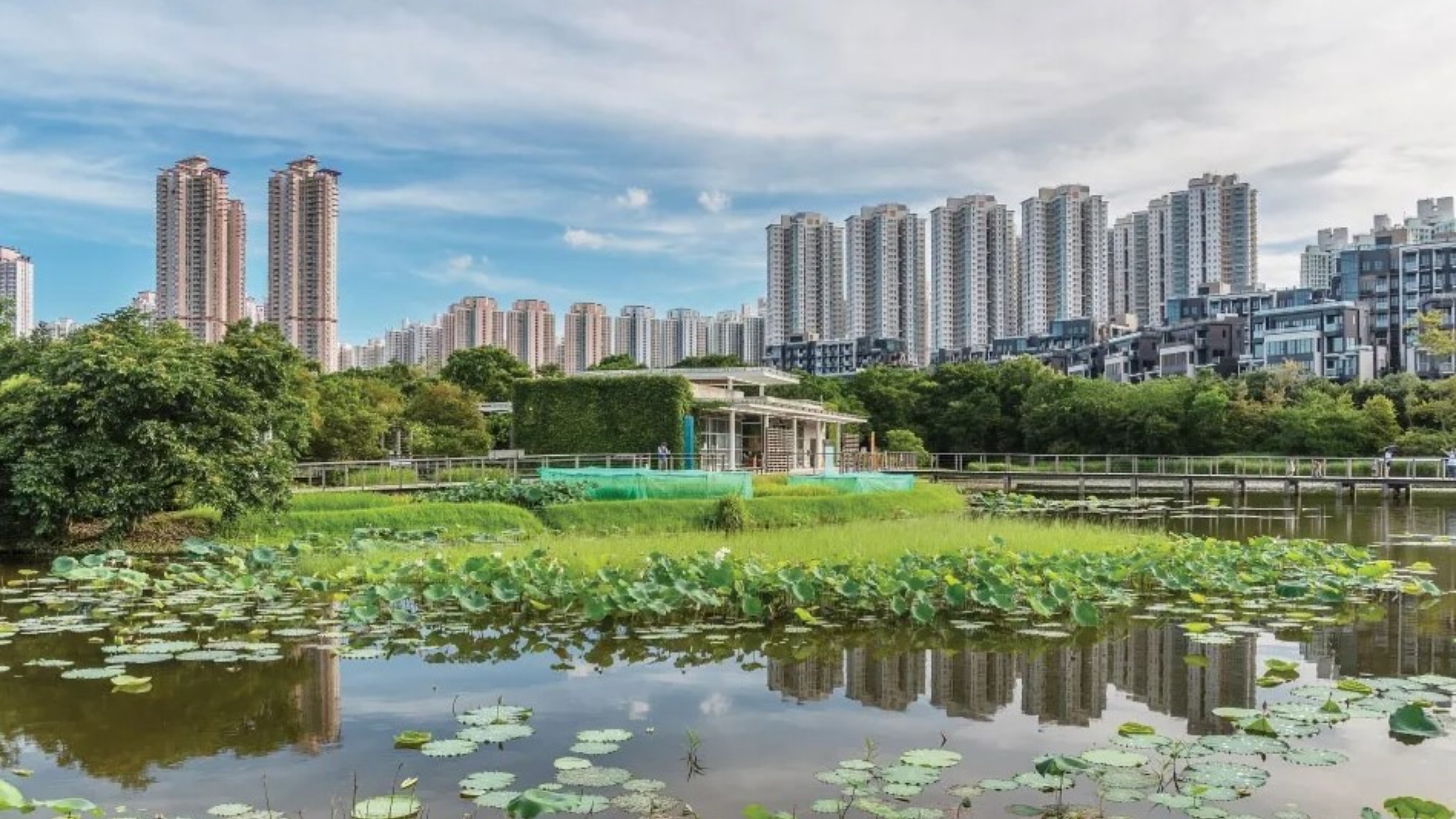 當局8-15全國生態日將推多項活動及優惠-濕地公園當日免費開放
