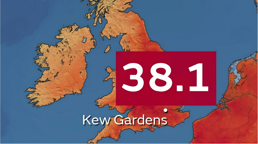 英國皇家植物園邱園錄得38-1度高溫-創英國今年最熱紀錄