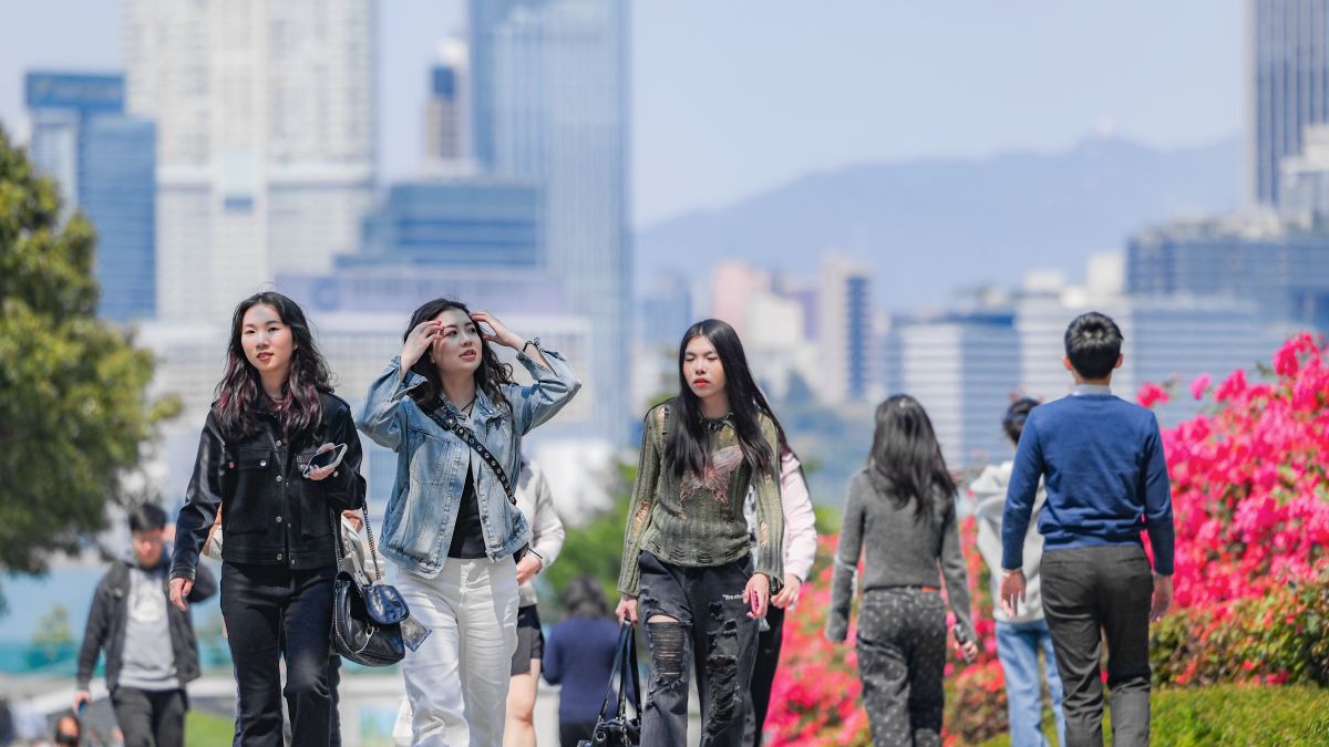 樓市朝陽丨人才與教育雙核帶動-商住地產全線升溫