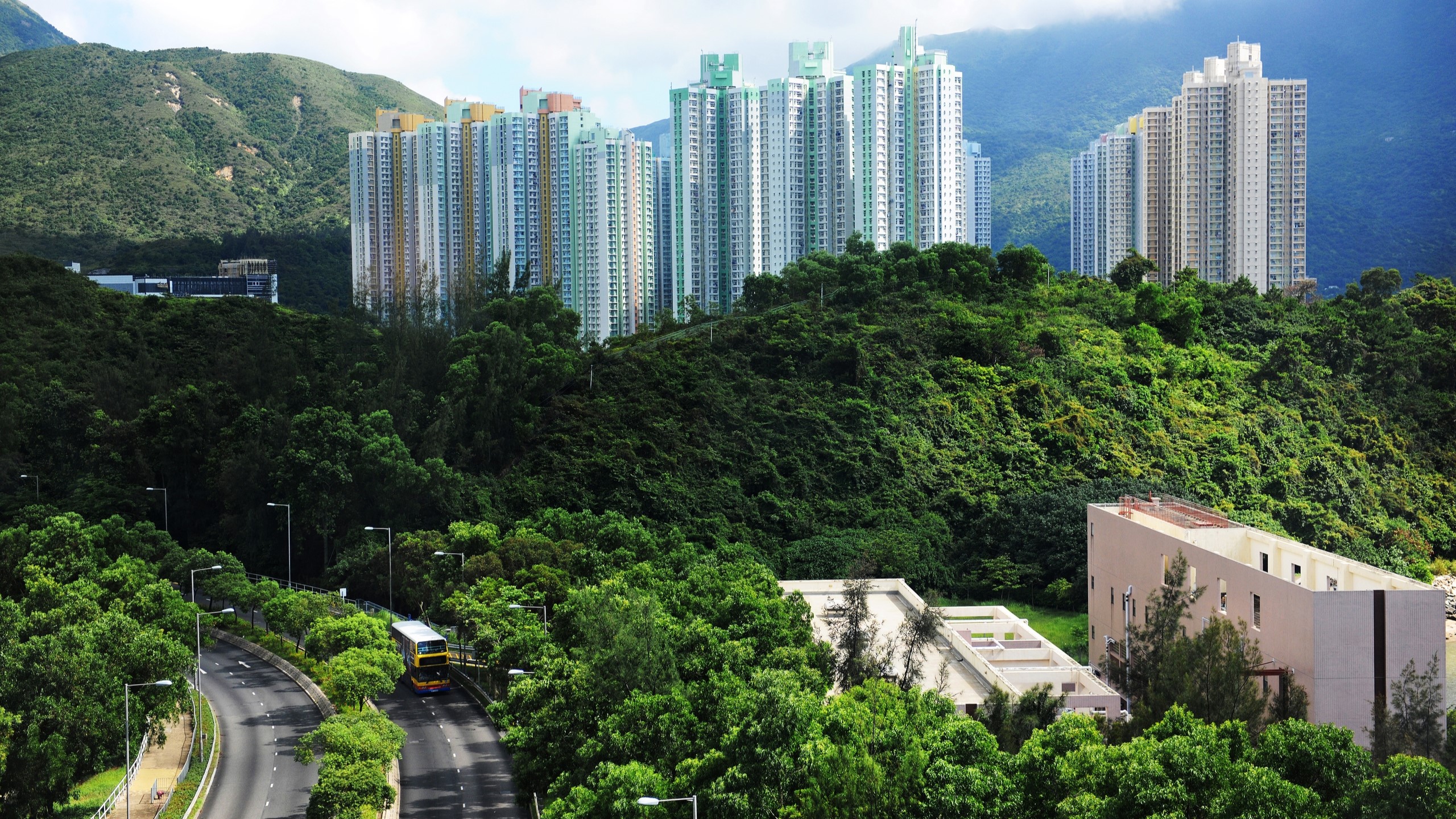 來論-香港道路綠化護養的優化破局之道