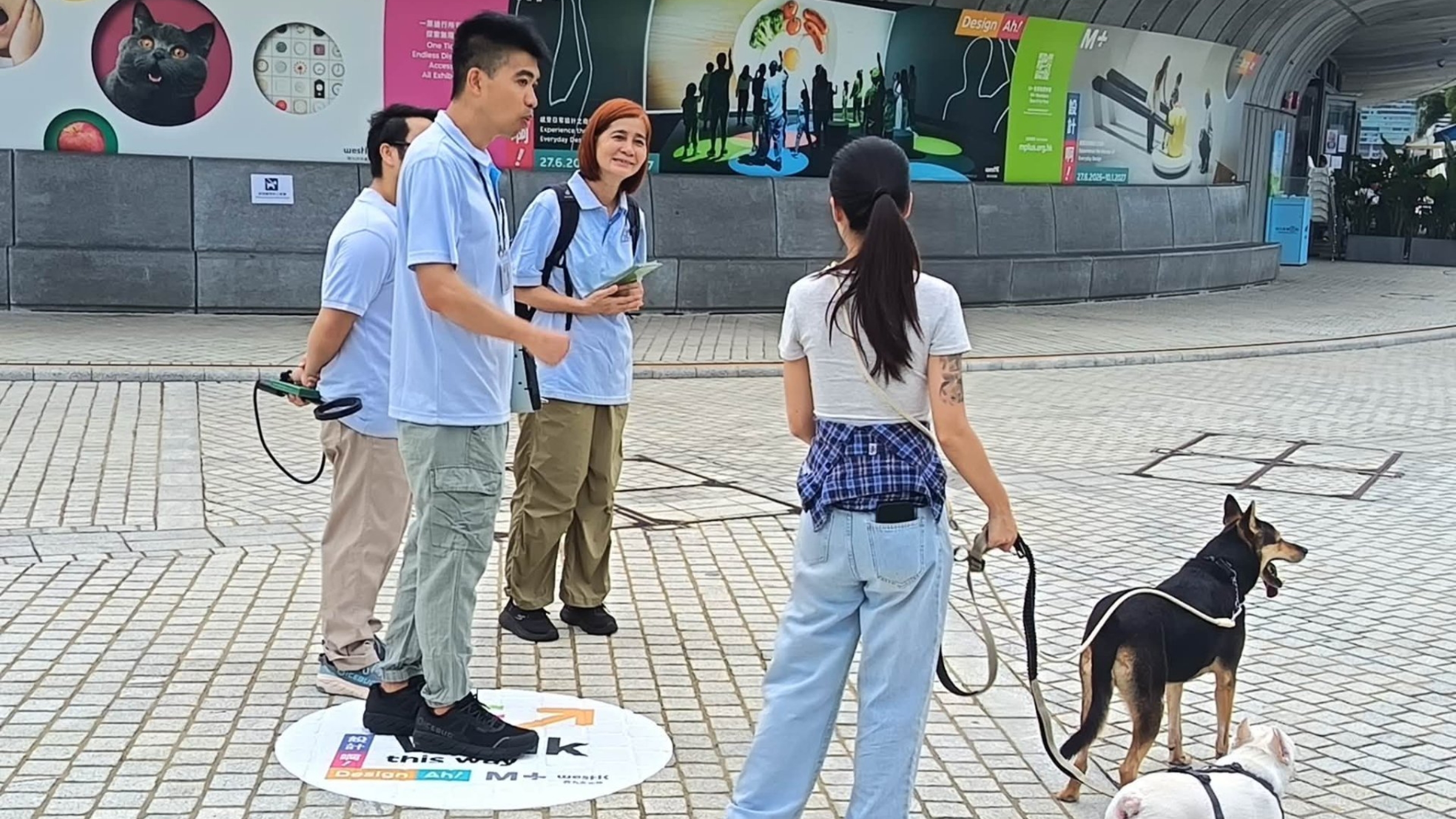3名狗隻畜養人涉未以狗帶牽引大狗-漁護署將提出檢控