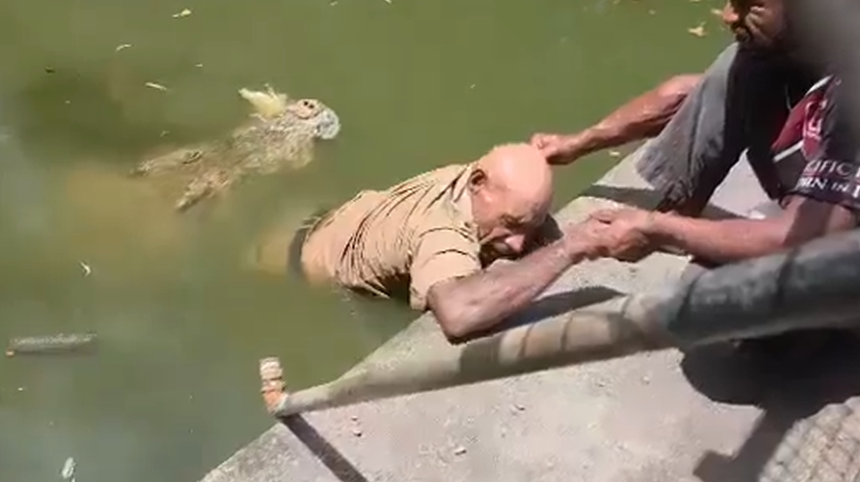有片-巴布亞新幾內亞動物園發生鱷魚殺人案-員工被咬雙腿拖入水中超一小時