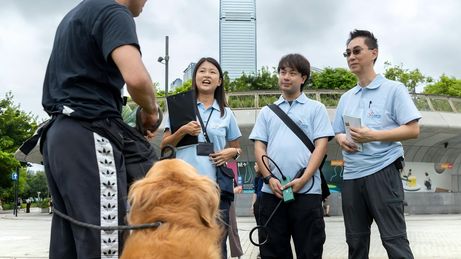 漁護署展開狗隻管控執法行動-發現3宗未牽引大狗個案將檢控