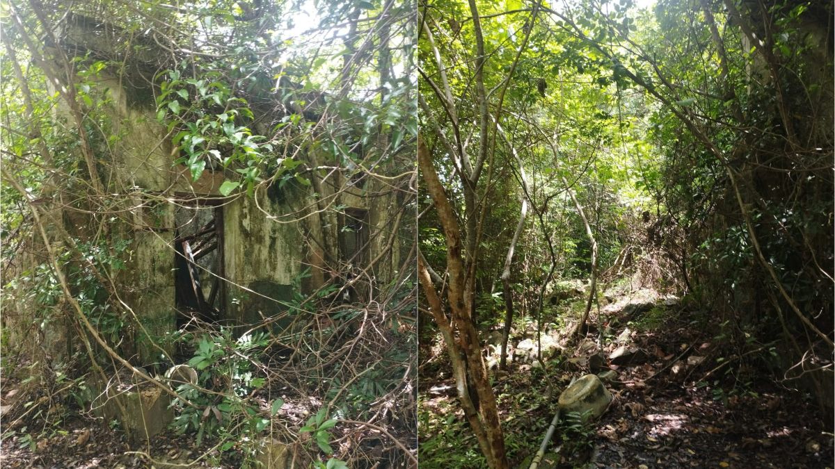 另類拍賣-西貢荒地38萬起拍賣-呎價僅461元