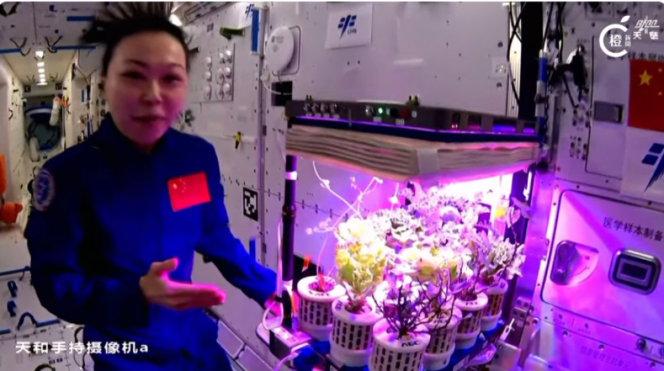 楊利偉-黎家盈在太空表現優秀-冀更多港澳年輕人投身國家航天事業