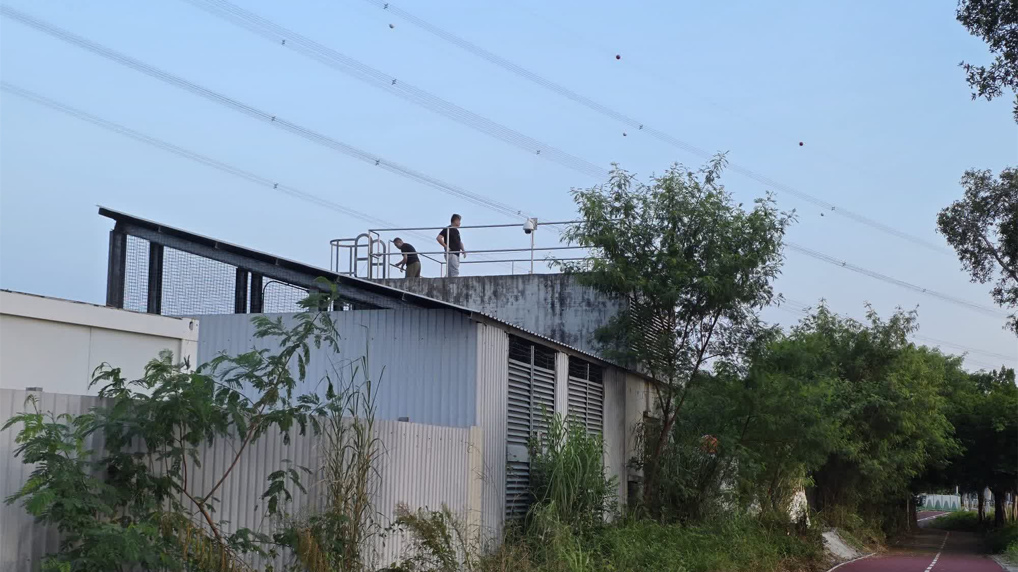 元朗狗咬人-警方現場附近裝4組臨時天眼-追蹤流浪狗提升捕捉效率
