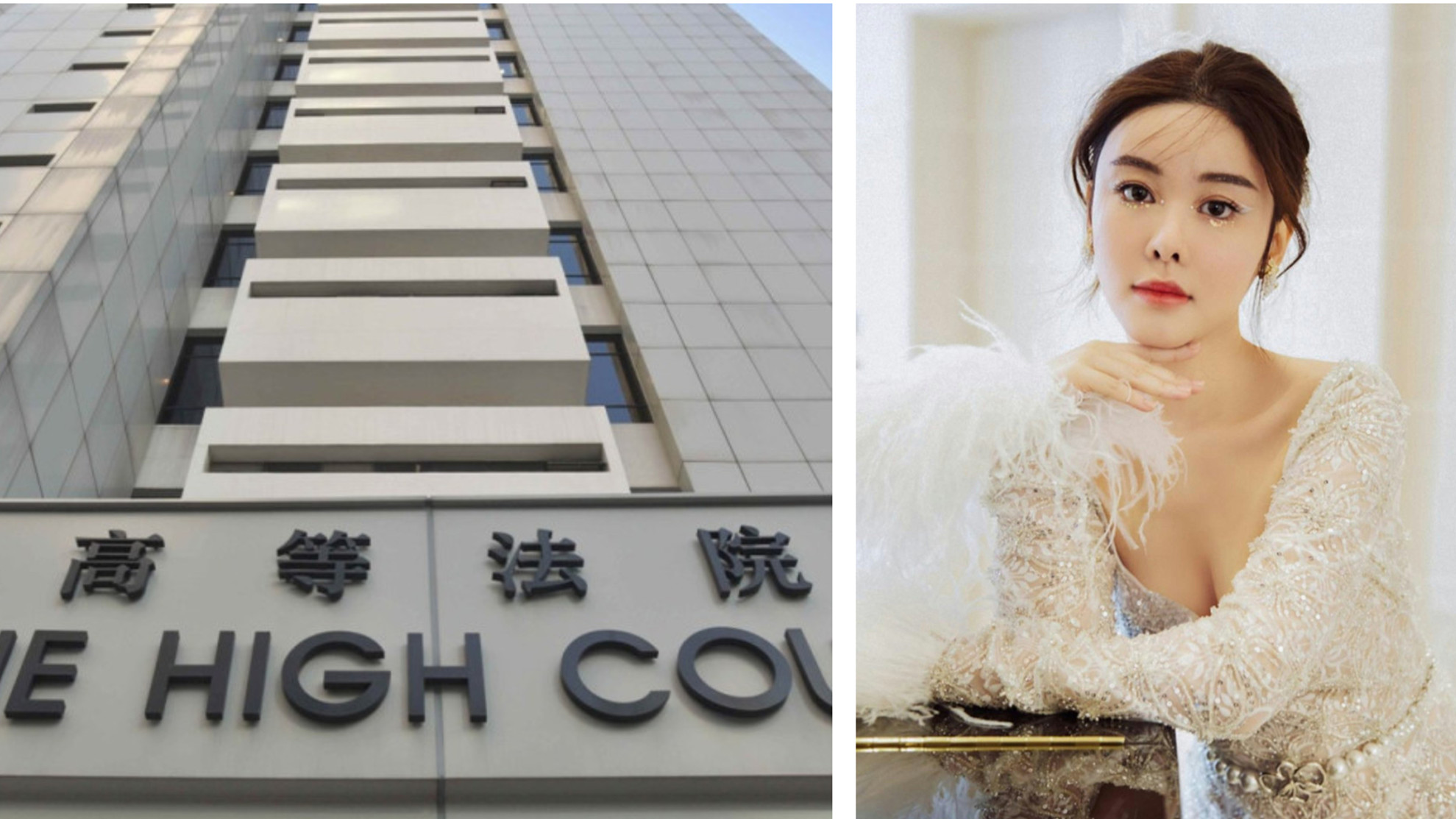 蔡天鳳碎屍案-法庭重新選出8男1女陪審團-有人稱目睹家人差點被殺獲豁免