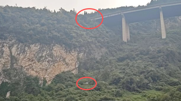 有片-四川瀘州私家車墮近百米山崖-司機胸椎骨折幸運生還