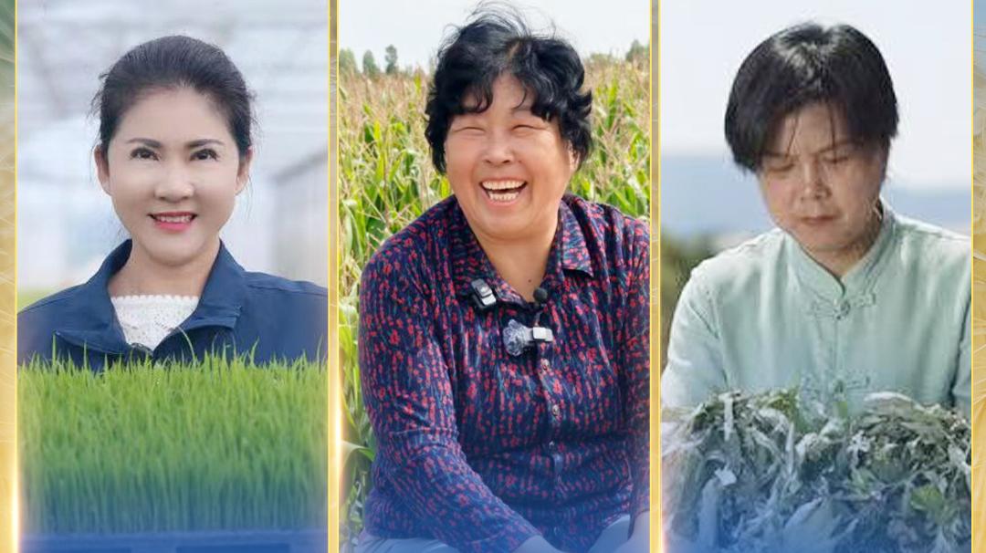 聯合國糧農組織表彰百位巾幗英雄-中國殷玉珍等3人入選