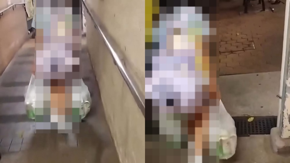 屯門虐兒案-社署-3童續留院舍過渡-稍後安排親屬照顧