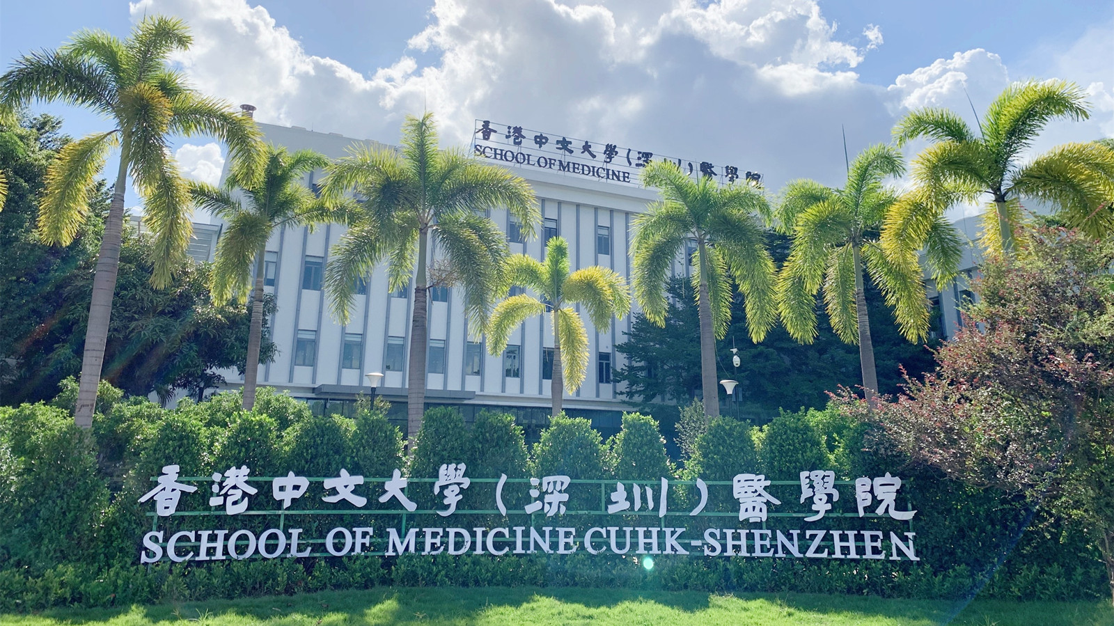 中大委任趙偉仁兼任中大-深圳-醫學院院長-統領港深兩間醫學院發展