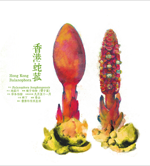 $!title_without_url!$