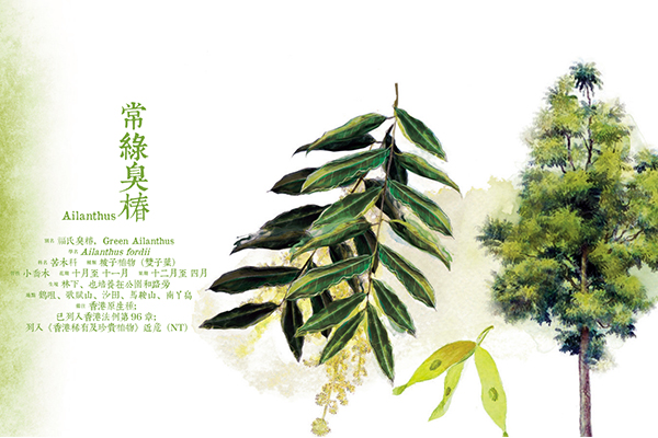 $!title_without_url!$