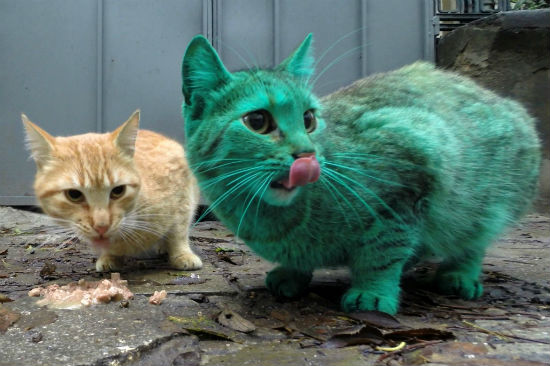 $!title_without_url!$