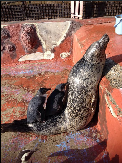 $!title_without_url!$