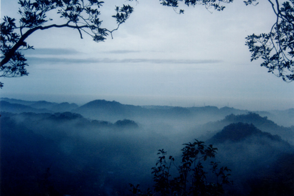 $!title_without_url!$