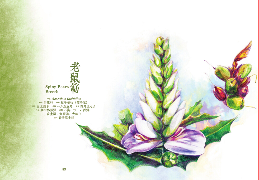 $!title_without_url!$