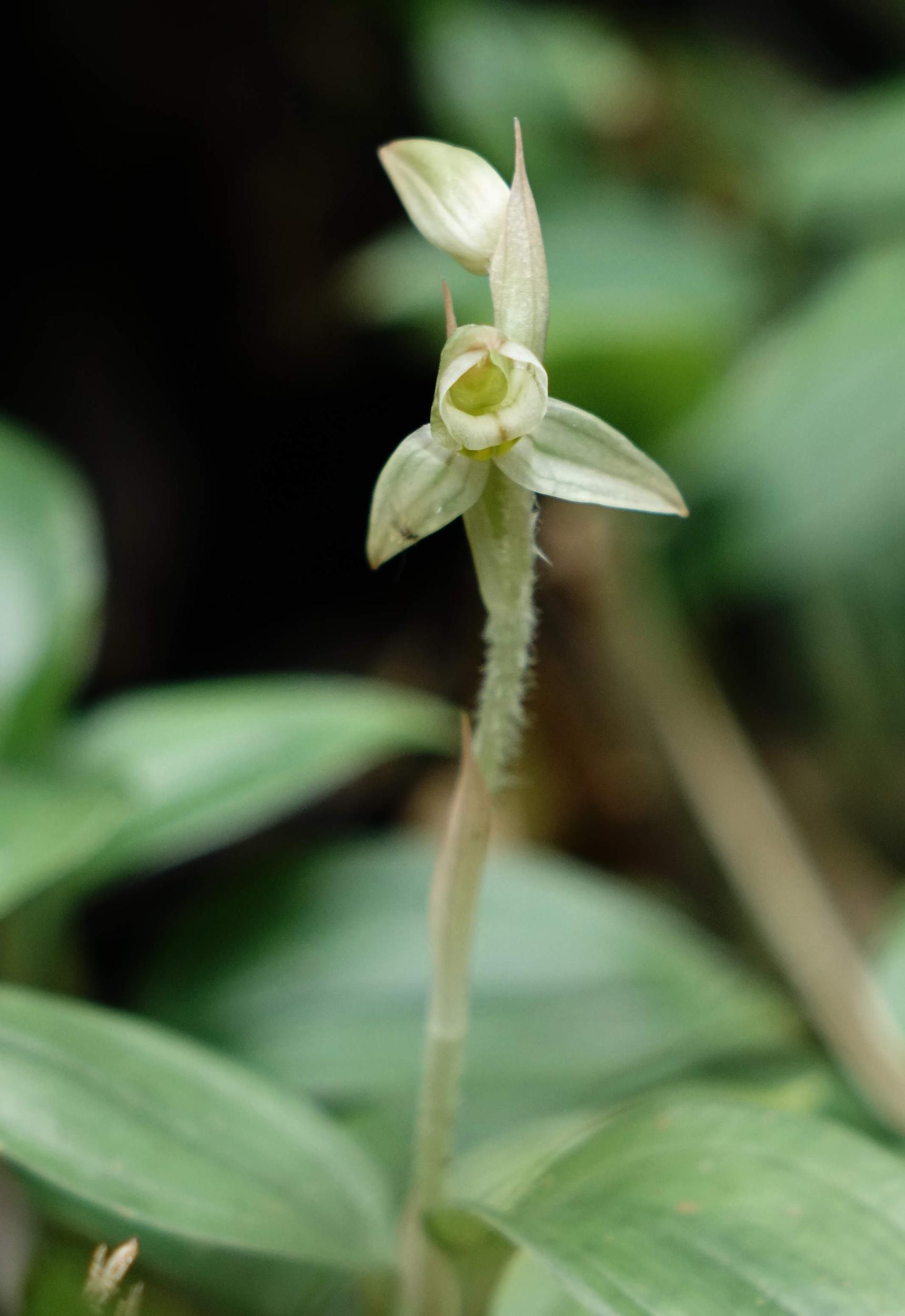 $!title_without_url!$