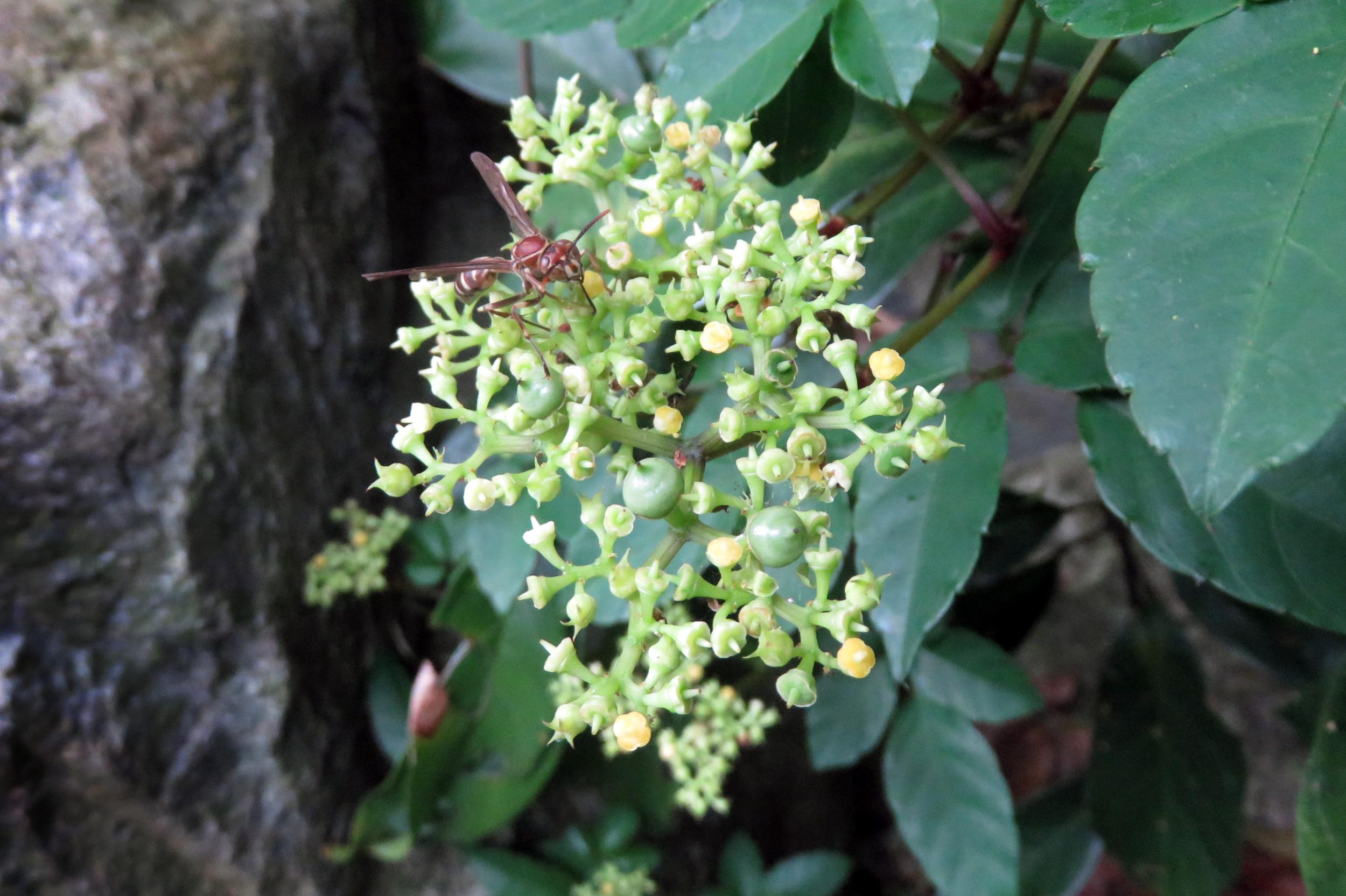 $!title_without_url!$