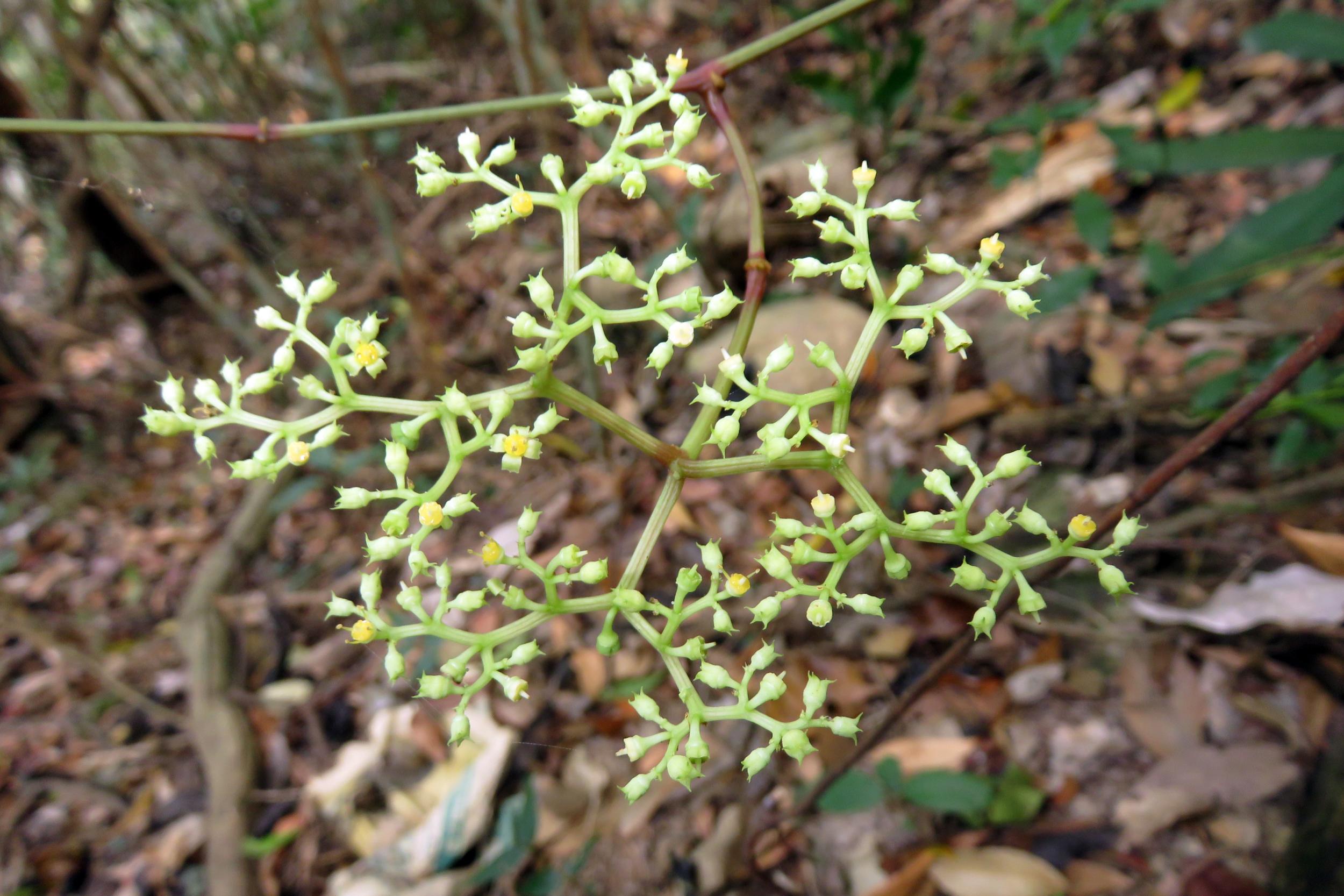 $!title_without_url!$