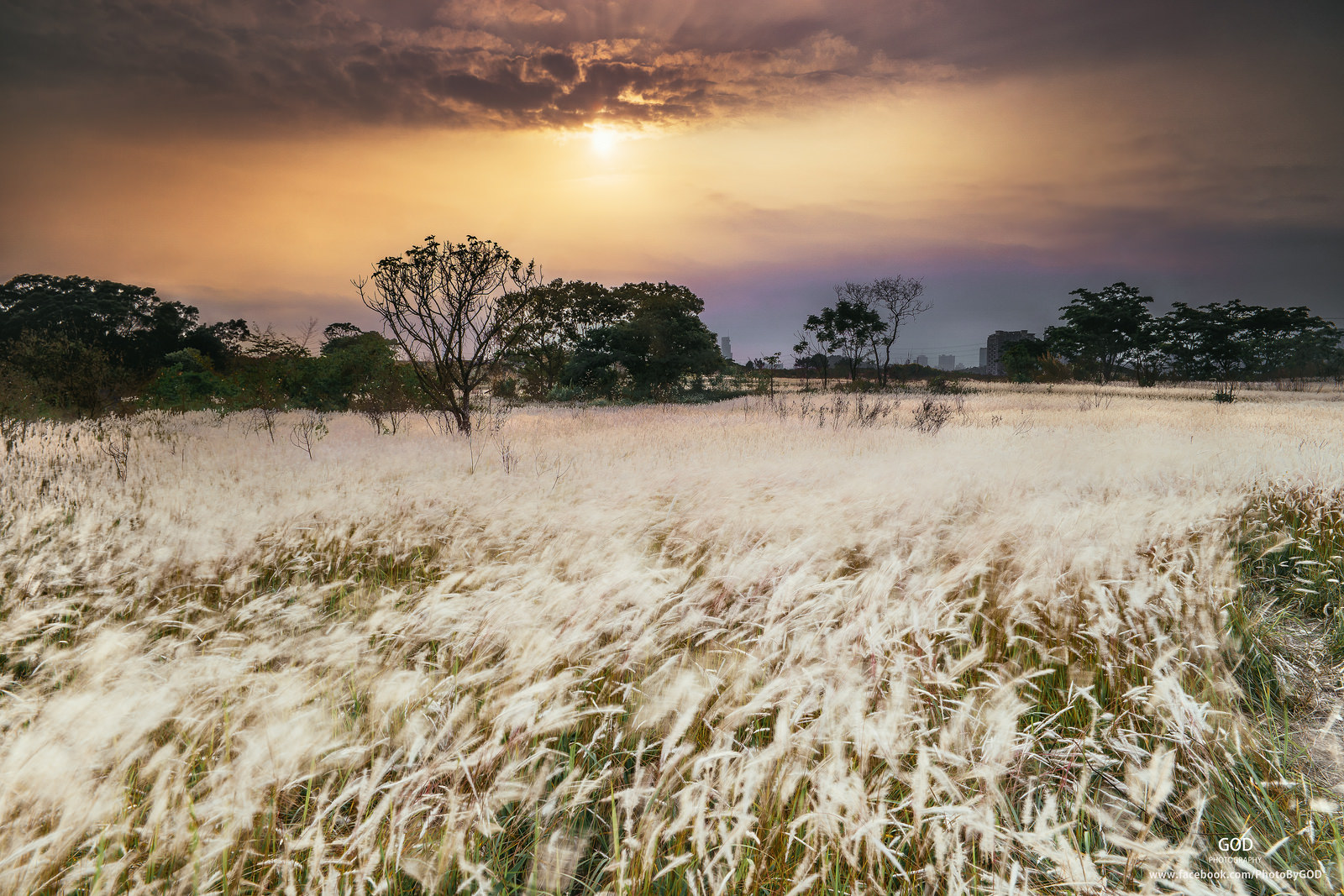 $!title_without_url!$