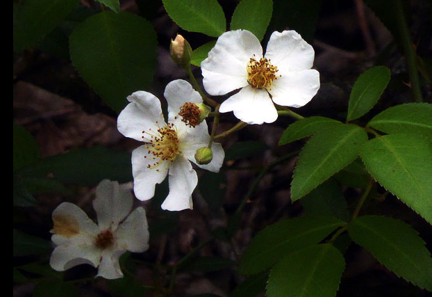 $!title_without_url!$