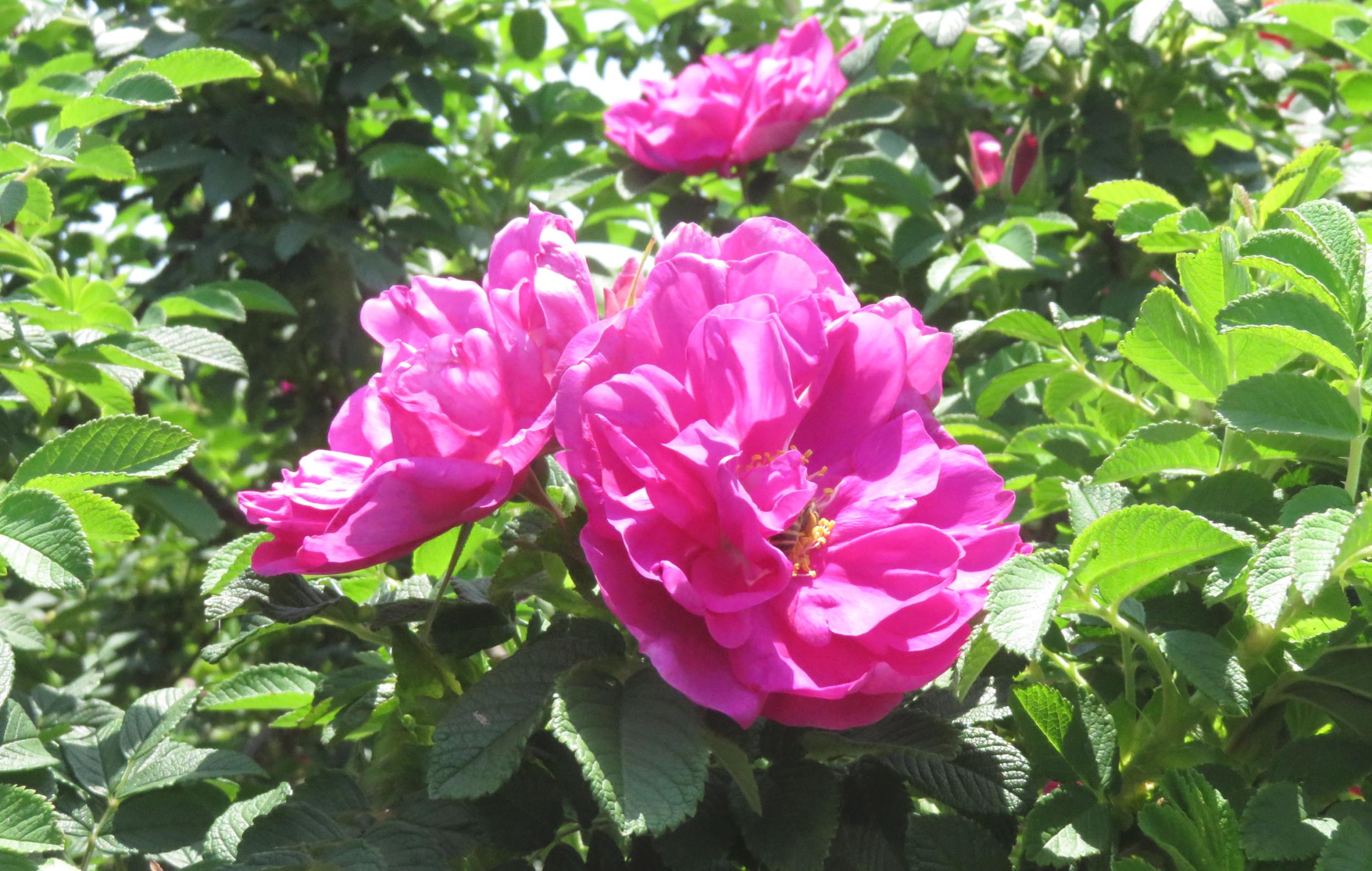 $!title_without_url!$