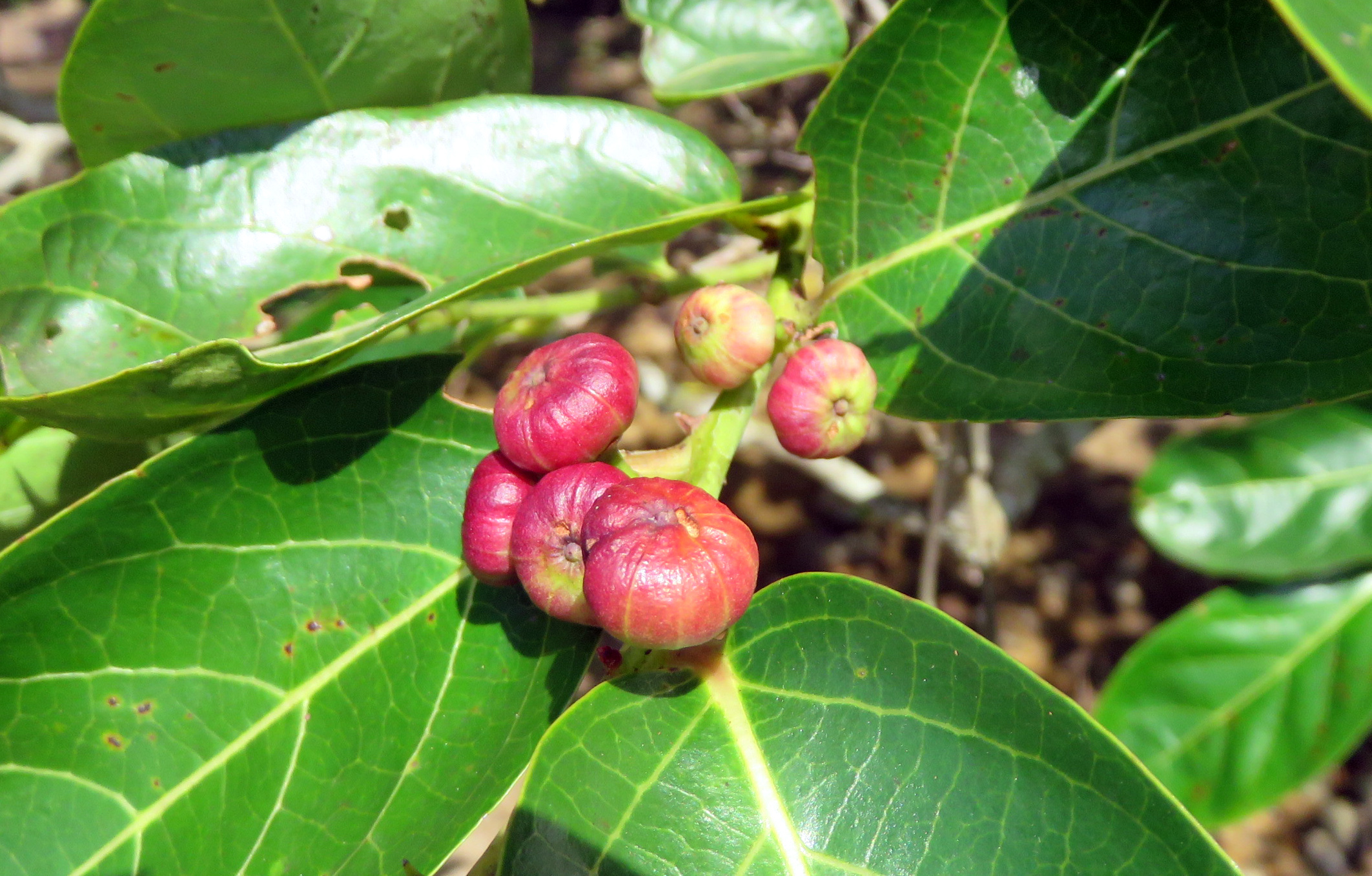 $!title_without_url!$