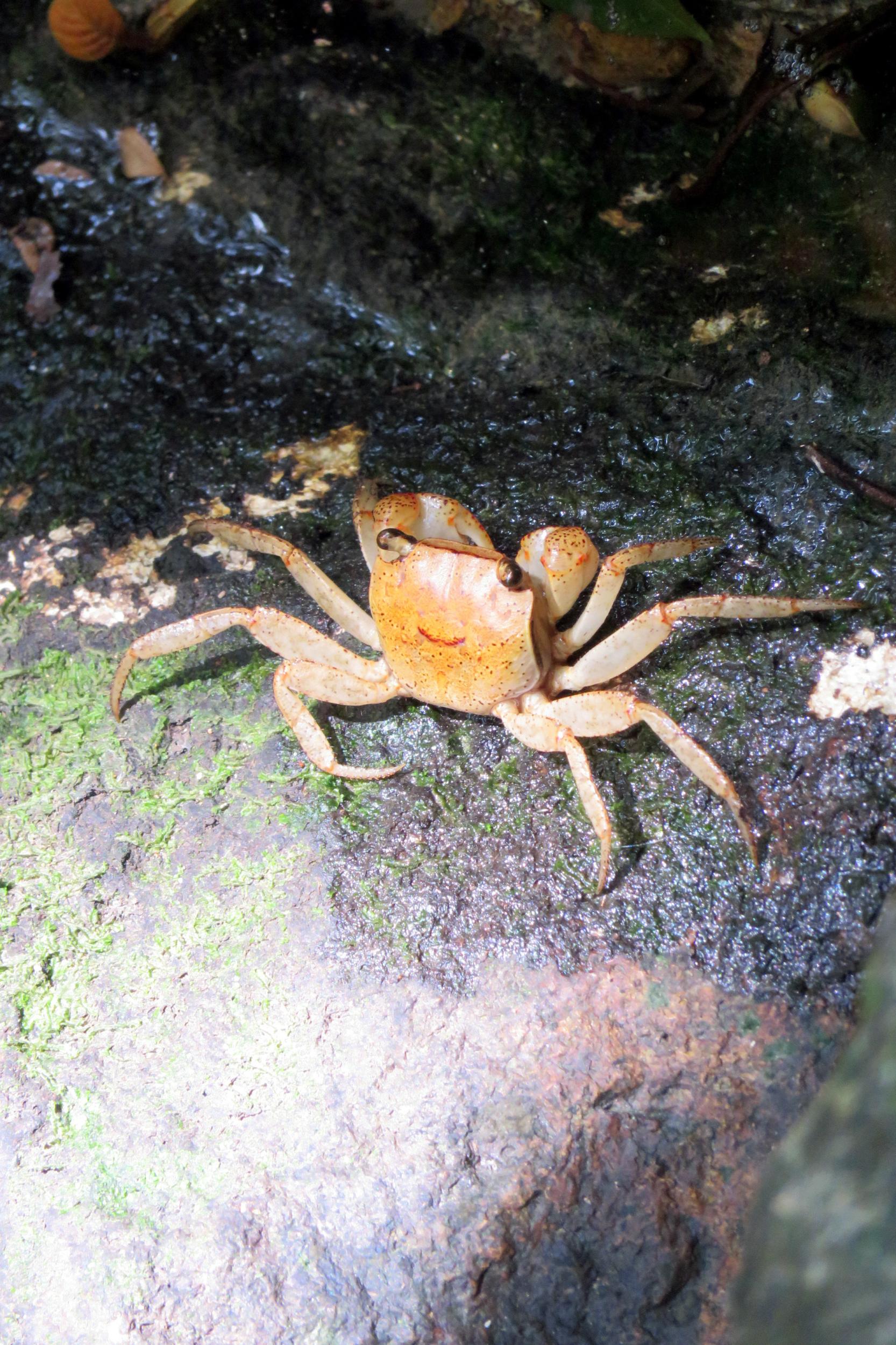 $!title_without_url!$