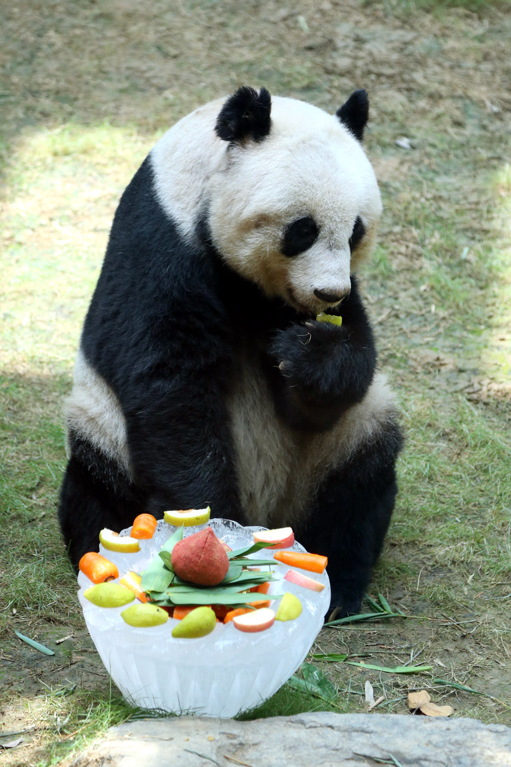 $!title_without_url!$