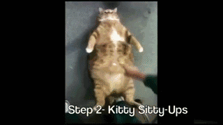 $!title_without_url!$