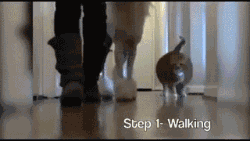 $!title_without_url!$