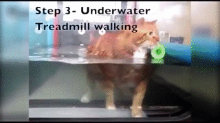 $!title_without_url!$