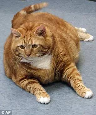 $!title_without_url!$