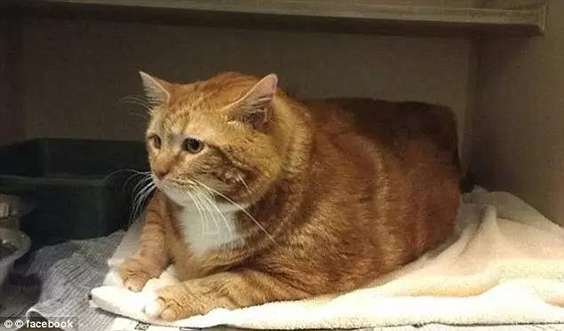 $!title_without_url!$