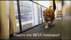 $!title_without_url!$