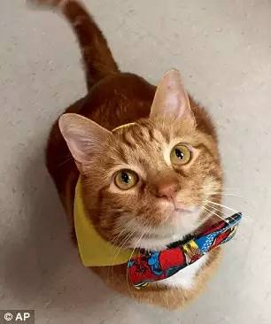 $!title_without_url!$