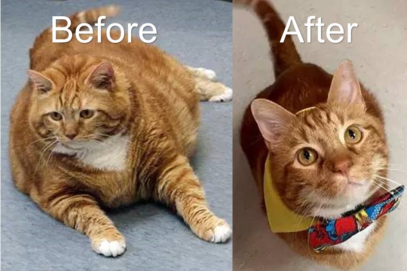 $!title_without_url!$