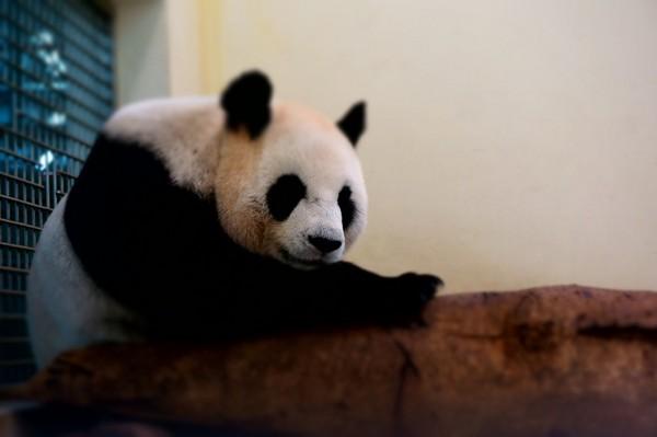 $!title_without_url!$